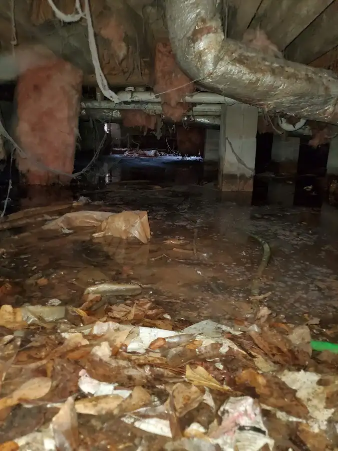 Crawl space flood assessment for Leak Detection & Repair in Orange